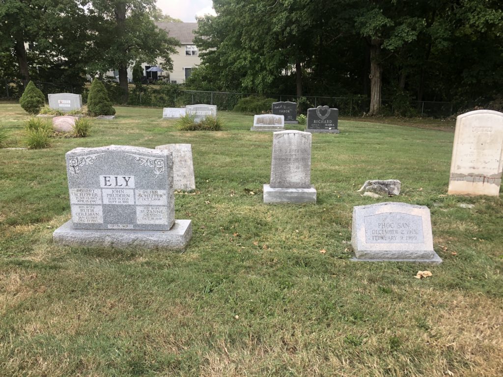 Freeman family plot